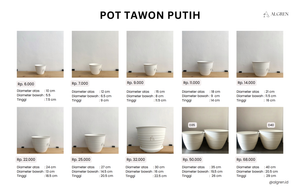 Pot Tawon Putih