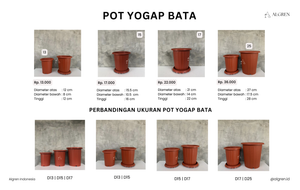 Pot Yogap Bata