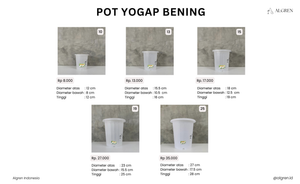 Pot Yogap Bening